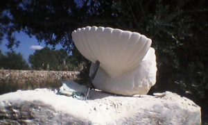 Lecce Stone